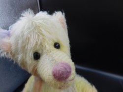 bear mohair rainbow face